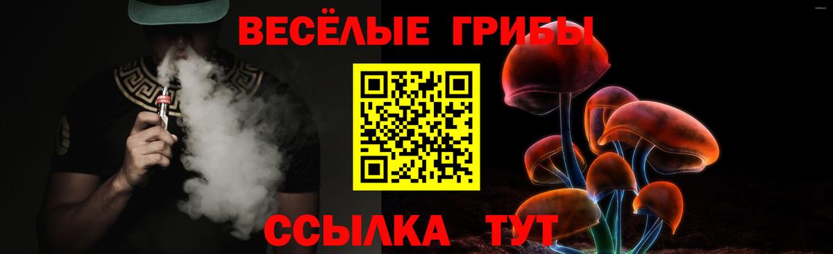Галлюциногенные грибы Magic Shrooms  наркотики  Курчатов  Вход с VPN 